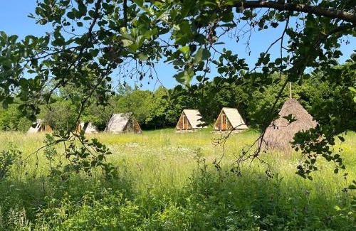 Ocna Sugatag Other | Breb 220D glamping