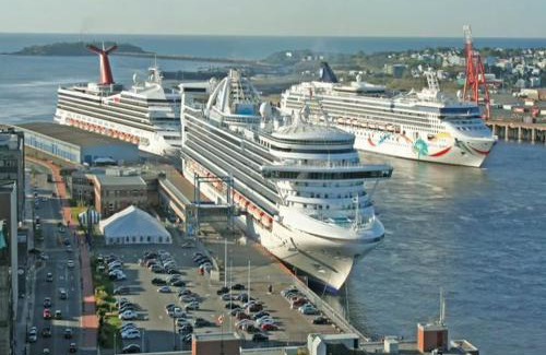 Saint John House | Bright Cozy Condo The Heart of Uptown 2BED Coffee & tea