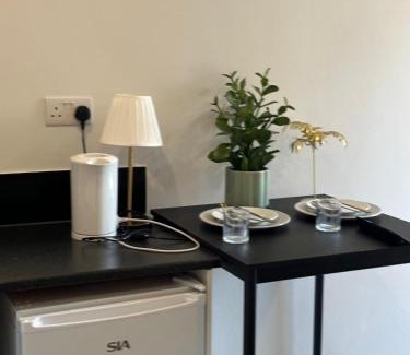 Bensham Manor Apartment | Brigstock 6