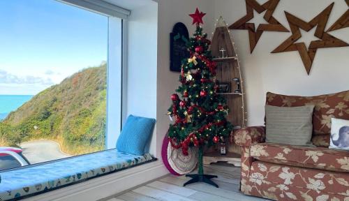 Tan-y-groes House | Brigydon Tresaith