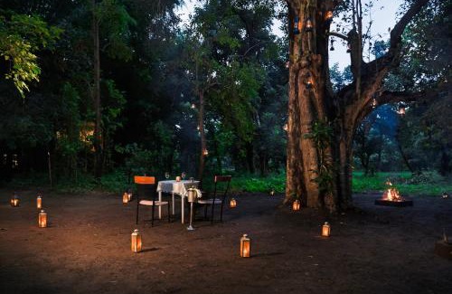 Tala Hotel | Brij Sone Bagh, Bandhavgarh - A Luxury Jungle Retreat