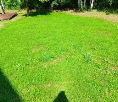 Pokrzywna Apartment | Brzozowy zakątek w Pokrzywnej