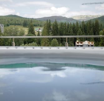 Bukovel Ski Chalet | Budz Карпати