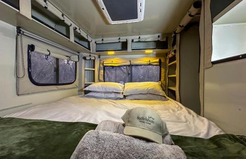 Mookgopong Bed & Breakfast | Buffelshuis Safari Camp