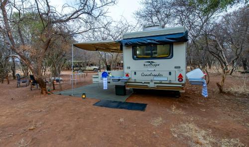 Mookgopong Bed & Breakfast | Buffelshuis Safari Camp