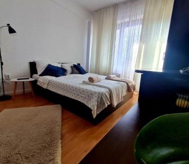 Curtea De Arges Apartment | Bulevard View Studio