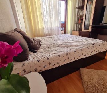 Curtea De Arges Apartment | Bulevard View Studio