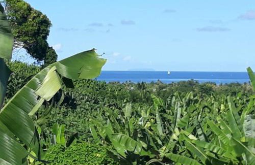 Capesterre-Belle-Eau House | Bungalow de charme