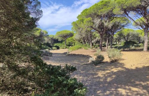 Los Canos de Meca Apartment | Bungalows Los Castillejos