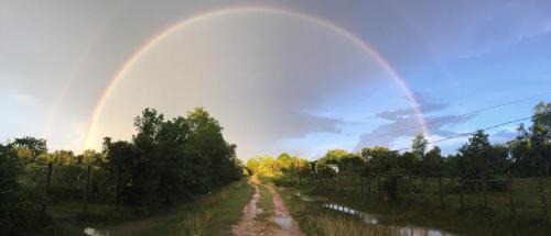 Siem Reap House | Bunyong Homestay
