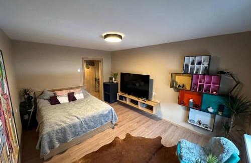 Jelgava Apartment | Business and getaway