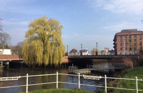 Buxtehude House | Buxtepartment
