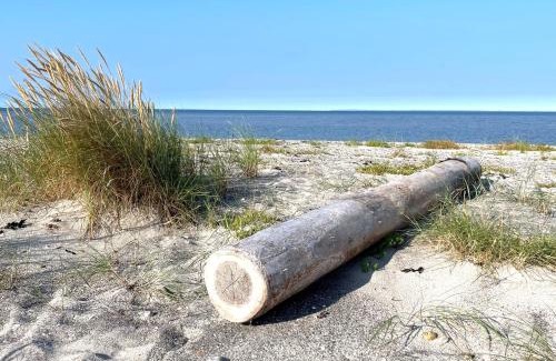 Vestero Havn Apartment | Byhus centralt på Læsø