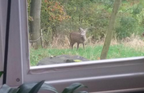 Vrchlabi Apartment | Byt Kněžice u Vrchlabí