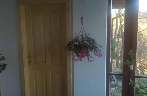 Vrchlabi Apartment | Byt Kněžice u Vrchlabí