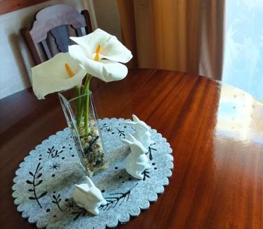 Braga House | Cávado Terrace Studio