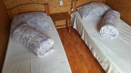 Oestii Paminteni Other | Călăreții lui Țepes