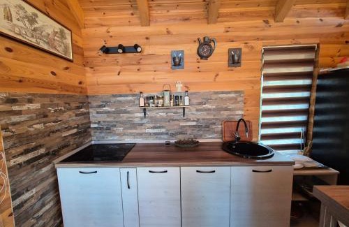 Berevoesti House | Căsuță Baciului