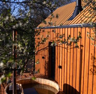 Maneciu Ski Chalet | Căsuța din livadă