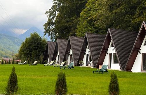 Cartisoara Other | Căsuțele de sub pădure