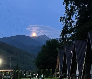 Cartisoara Other | Căsuțele de sub pădure