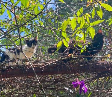 Da Lat Other | Cắm trại núi xanh dalat inn