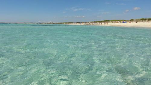 Sa Rapita House | Ca Na Clar