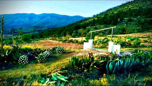 San Antonio de Las Alazanas Other | Cabaña 7 APPLE CAMP