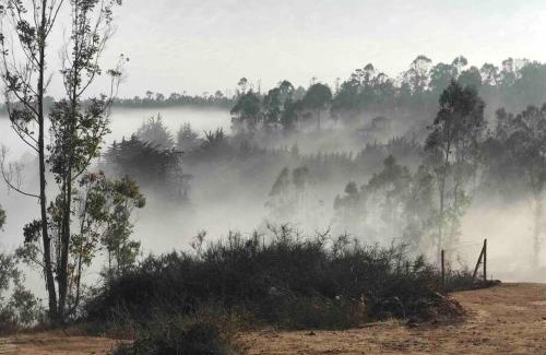 Tunquen House | Cabaña Bosque Tunquen