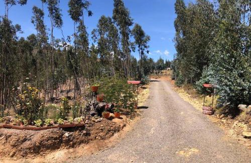 Iza House | CABAÑA BUENAVISTA es un lugar para descansar.