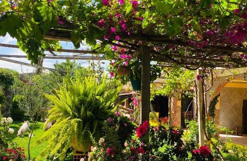 Tiquipaya House | Cabaña Chura