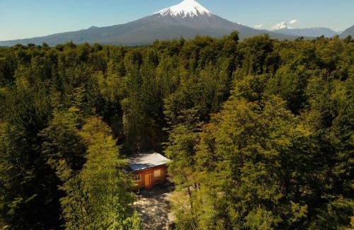 Puerto Varas House | Cabaña Ciervo