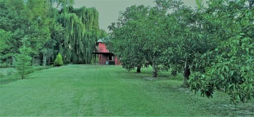 San Rafael House | cabaña Claro de Luz en finca Margarita