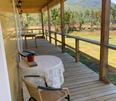 Lenca House | Cabaña con árboles nativos en su patio.