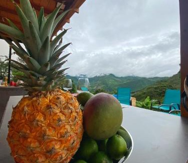 Cachipay Apartment | Cabaña con vistas a la montaña