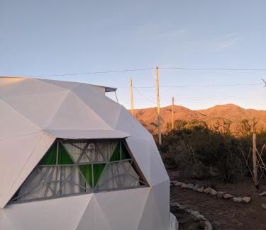 Los Cocos Apartment | Cabaña Domo Delta