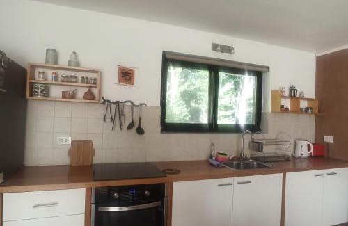 Uspallata Ski Chalet | Cabaña Ecologica