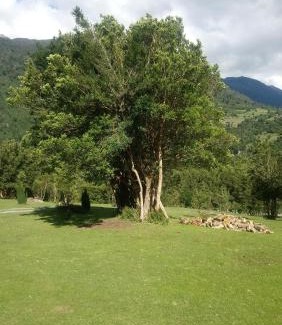 Los Ladrillos House | Cabaña El Alto Cochamó