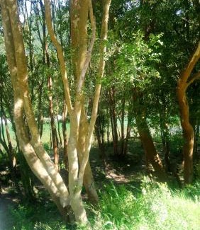 Los Ladrillos House | Cabaña El Alto Cochamó