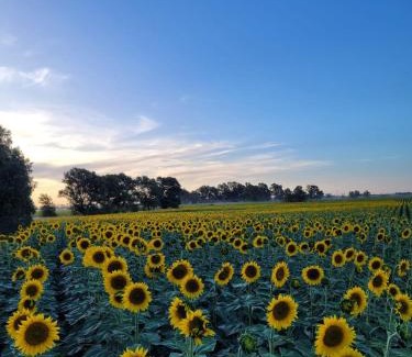 Partido de Bolivar House | Cabaña El Encuentro