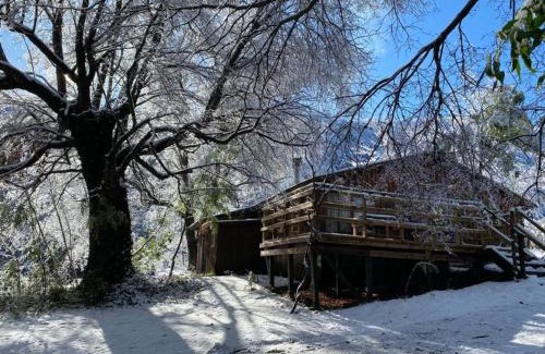 Casa de Lata House | Cabaña en el bosque-Termas de Chillán