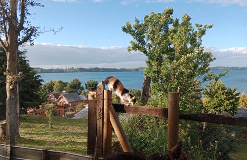 Puyehue Apartment | Cabaña Génesis