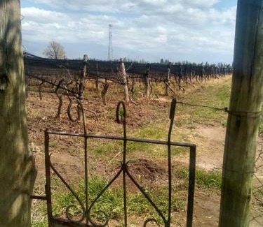 La Consulta Apartment | Cabaña Hurú Zaha