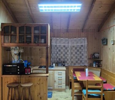 Pinto Apartment | Cabaña Los Lleuques, Descanso en Cordillera a orillas del río Renegado