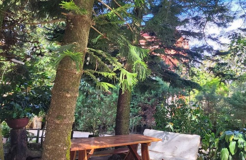 Los Naranjos Cabin | Cabaña Pipil en Los Naranjos