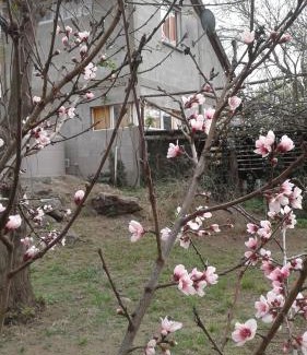 Bialet Masse Ski Chalet | Cabaña Silvana