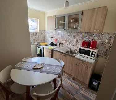 Valdivia Apartment | CABAÑA TIPO DEPARTAMENTO ISLA TEJA