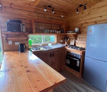 Ralun House | Cabaña visión