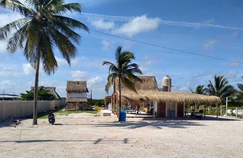 Chelem Cabin | Cabañas Chelem