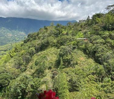 Cocorna Ski Chalet | Cabañas Colibrí